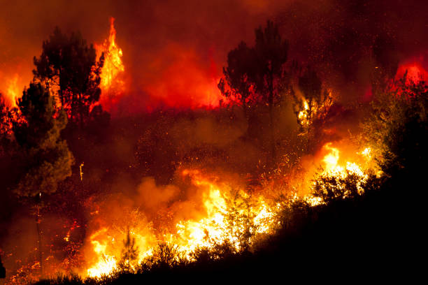 forest big fire very close to houses, povoa de lanhoso, portugal. - fire portugal imagens e fotografias de stock