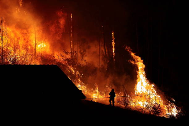 forest big fire very close to houses, povoa de lanhoso, portugal. - fire portugal imagens e fotografias de stock
