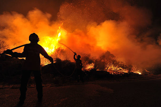 feu de forêt, incendio florestal - incendie photos et images de collection