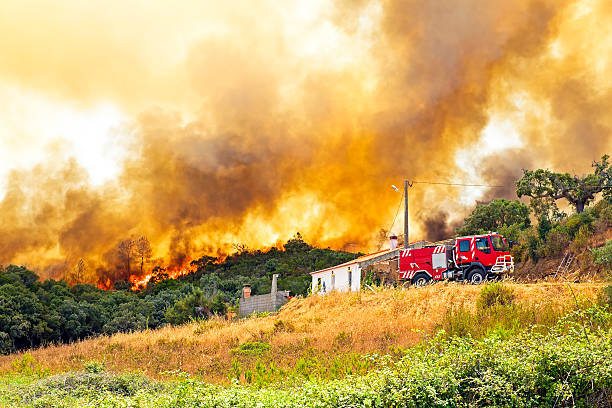 grande incêndio florestal ameaça casas em portugal - fire portugal imagens e fotografias de stock