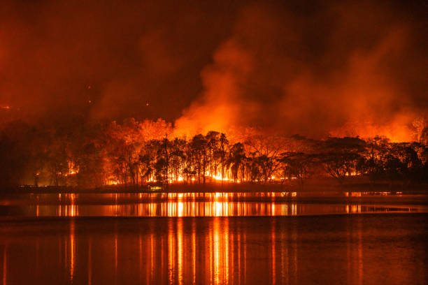 Forest fire wildfire at night time with lake water reflection stock photo