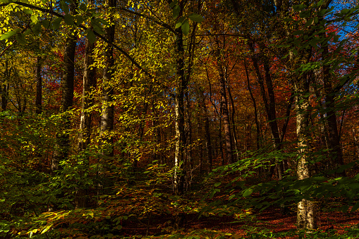 Yedigoller national park (7Lakes) at autumn