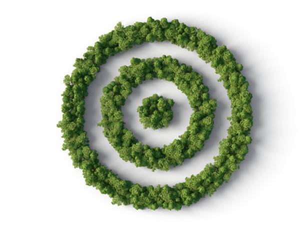 Forest in target shape stock photo