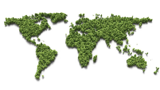 forest in the world map stock photo