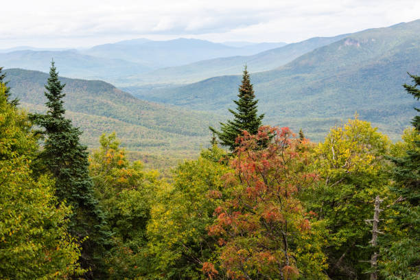 Forest landscape along the Mount Washington Auto Road leading to the summit of Mount Washington in New Hampshire stock photo