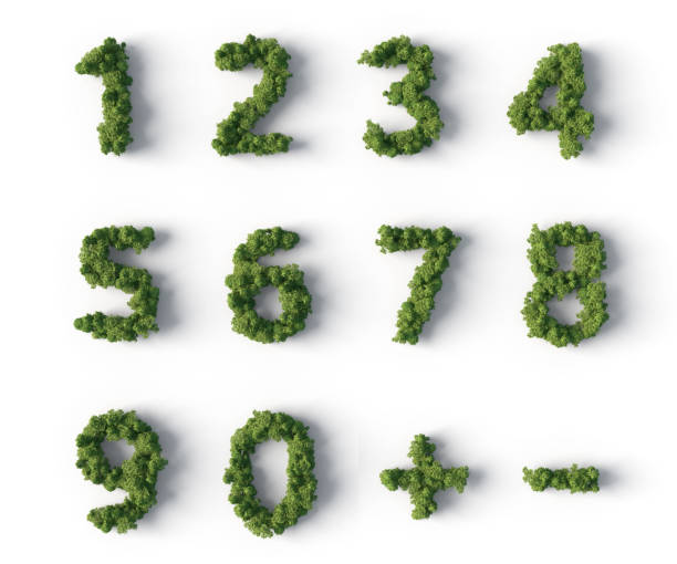 forest numbers stock photo