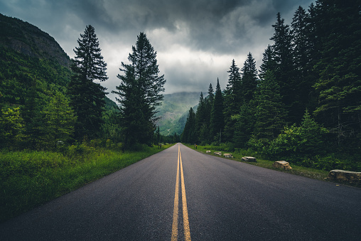 Image of a forest road on a cloudy day.