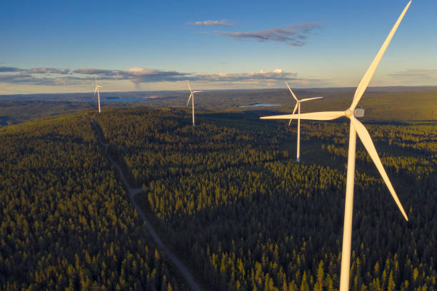 Forest with wind power stations Wind power stations in a forest landscape in the evening in the Dalarna region of Sweden. sweden stock pictures, royalty-free photos & images