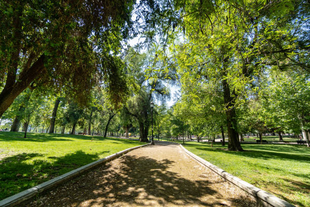 Forestal park path in Santiago de Chile stock photo