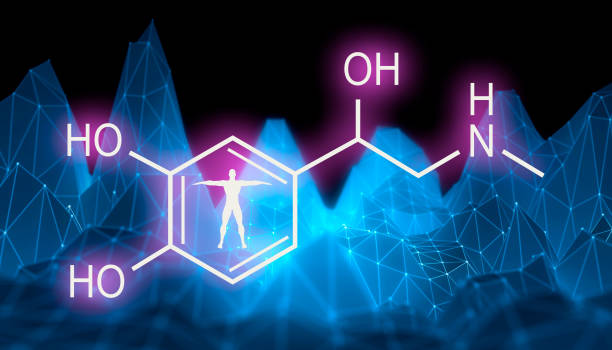 Formula hormone adrenaline. Chemical molecular formula hormone adrenaline. Infographics illustration. Man silhouette. Low poly mountains landscape backdround. 3D rendering adrenaline stock pictures, royalty-free photos & images