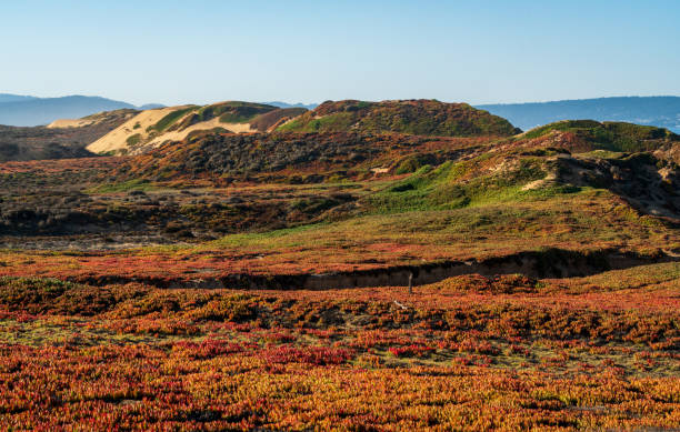 Fort Ord Dunes State Park in Coastal Monterey stock photo