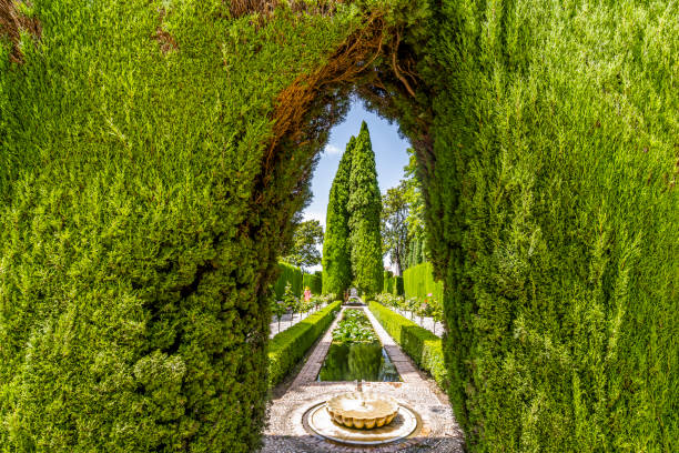 fuente y árboles en el jardín del generalife en el complejo del palacio de la alhambra en granada, españa - flora de la alhambra fotografías e imágenes de stock