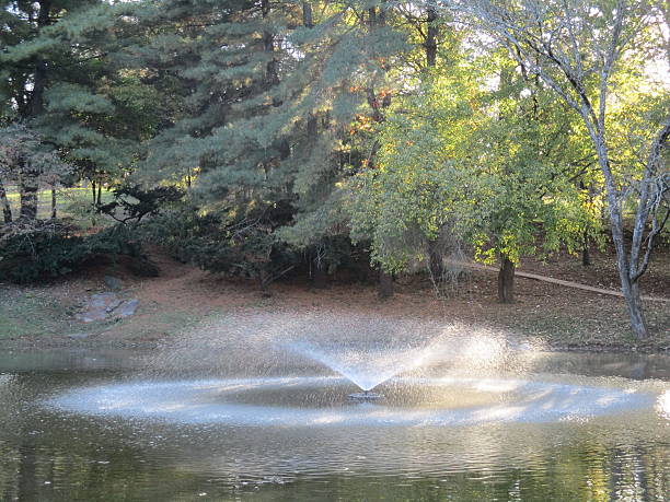 Fountain Spraying Water in a Pond in a Park stock photo