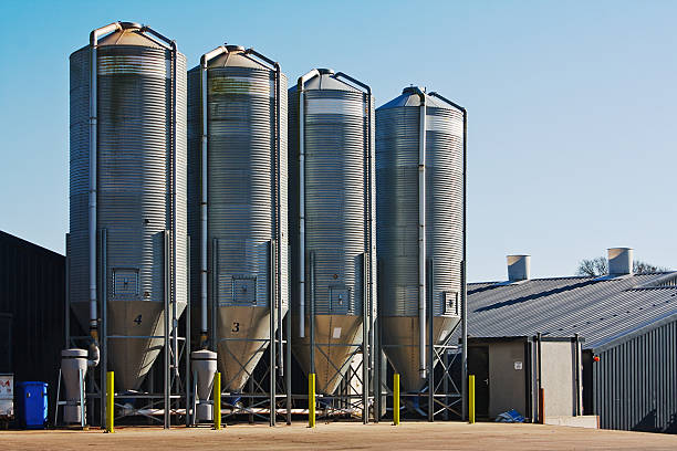 Four grain storage silos surrounded by buildings stock photo