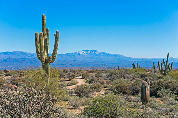 Four Peaks Desert View stock photo