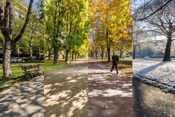 Four seasons concept. The effect of the 4 seasons on the urban environment. Four pictures of one place captured during one year and seamlessly blended in one photography composite. stock photo
