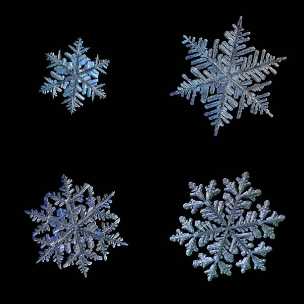 Four snowflakes isolated on black background Four snowflakes isolated on black background. Set with macro photos of real snow crystals: different size stellar dendrites with fine hexagonal symmetry, long elegant arms and complex, ornate shapes. real life stock pictures, royalty-free photos & images