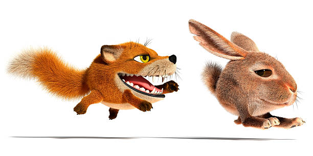 Fox and Rabbit 3d image. Isolated white background. chasing rabbits stock pictures, royalty-free photos & images