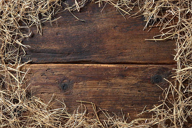 Frame from straw Frame from straw on vintage wooden board hay stock pictures, royalty-free photos & images