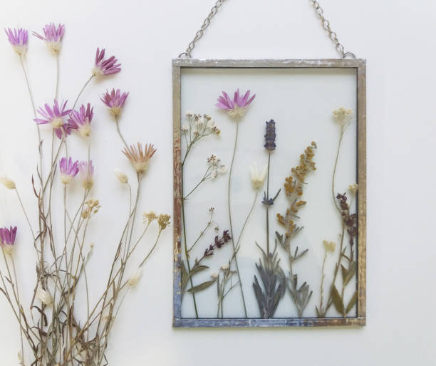 Framed pressed flowers in tiffany technique in stained glass Handmade herbarium in tiffany technique for walls decor dried plant photos stock pictures, royalty-free photos & images