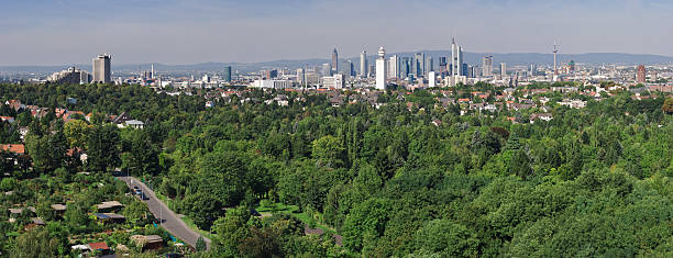Frankfurt Skyline and Forest stock photo