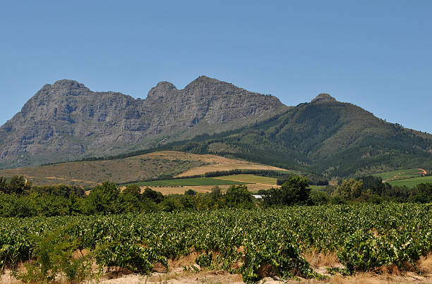 Franschhoek Valley & Mountains, South Africa stock photo