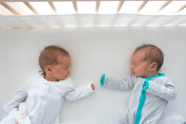 fraternal newborn twins stock photo