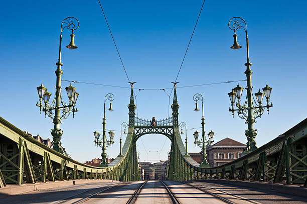 Freedom Bridge Budapest stock photo