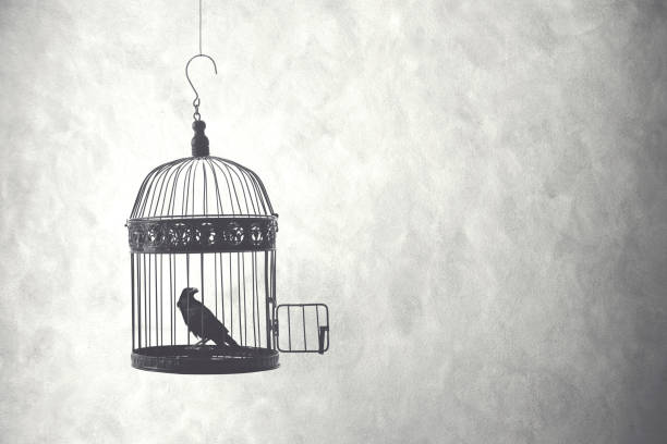 freedom concept, bird in an open cage stock photo