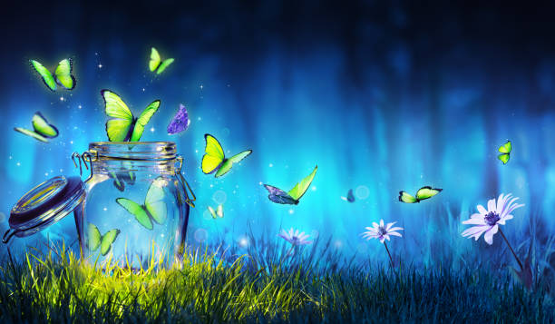 Freedom Concept - Magic Butterflies Flying Out Of The Jar On The Lawn Butterflies Flying Out Of The Jar In The Night jar photos stock pictures, royalty-free photos & images