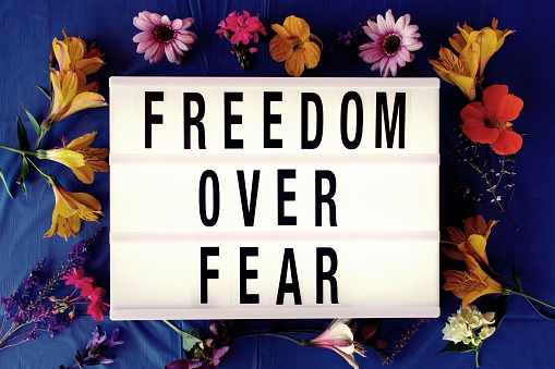The Words 'Freedom Over Fear' in Lightbox Trend with an abundance of fresh flowers. This is part of my Signs of the Times collection. This collection is for the Great Awakening.