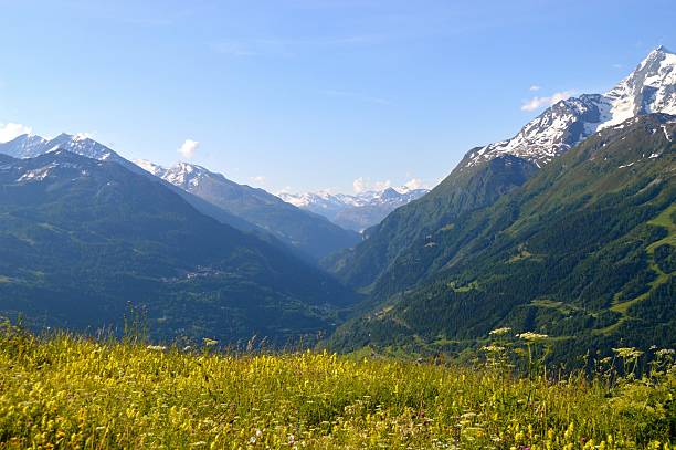 french alps in summer - rosières stockfoto's en -beelden