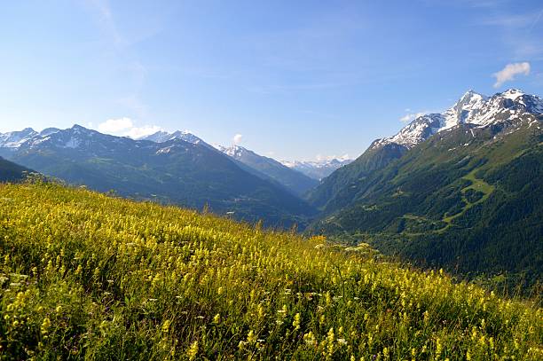 french alps in the summer - rosières stockfoto's en -beelden