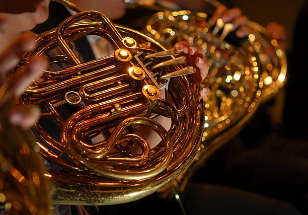 French horn stock photo