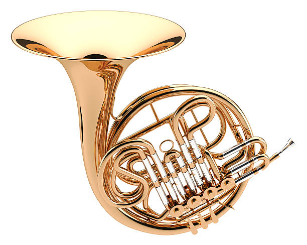 French Horn Symphonic musical instrument wind instrument stock pictures, royalty-free photos & images