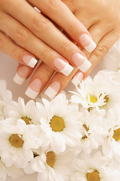 french manicure nails stock photo