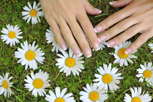 French Manicure Stock Photos, Pictures & Royalty-Free Images - iStock