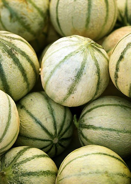 French melons stock photo