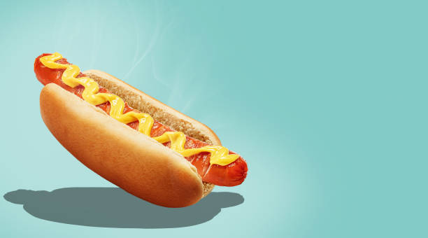 Fresh American classic hot dog stock photo