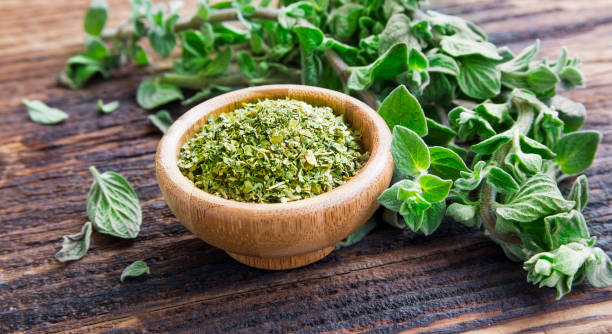 Fresh and dried oregano herb on wooden background stock photo