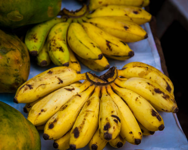 fresh bananas market iquitos peru - zl imagens e fotografias de stock