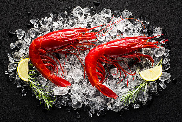 Fresh big red shrimp on ice on a black table stock photo