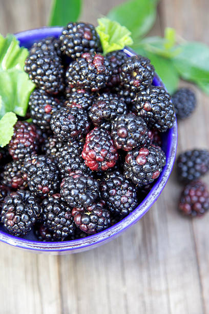 Fresh Blackraspberries stock photo