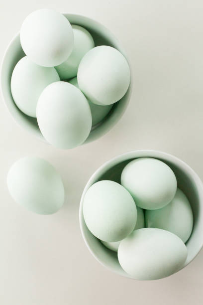 Fresh Blue Eggs stock photo