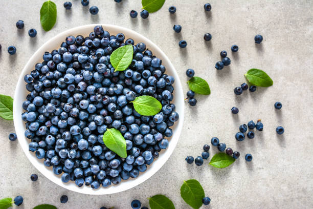 Fresh blueberry on plate, organic food and healthy super foods concept Fresh blueberry on plate, organic food and healthy superfoods concept bilberry fruit stock pictures, royalty-free photos & images