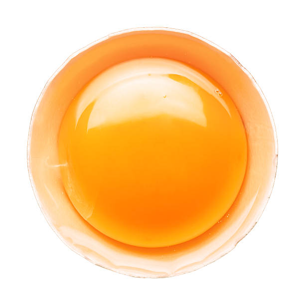 Fresh broken egg portion on white "Fresh egg yolk in the shell on white background. Deep focus, clipping path included.Related pictures:" egg yolk stock pictures, royalty-free photos & images