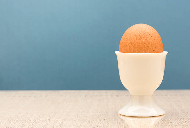Fresh Brown Egg stock photo