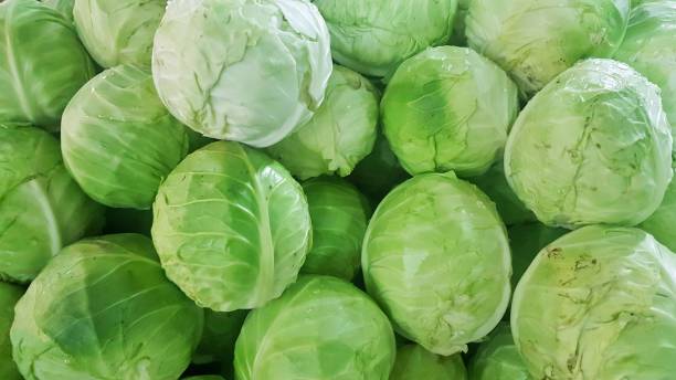 fresh cabbage sold in the market, Vegetable natural background fresh cabbage sold in the market, Vegetable natural background cabbage stock pictures, royalty-free photos & images