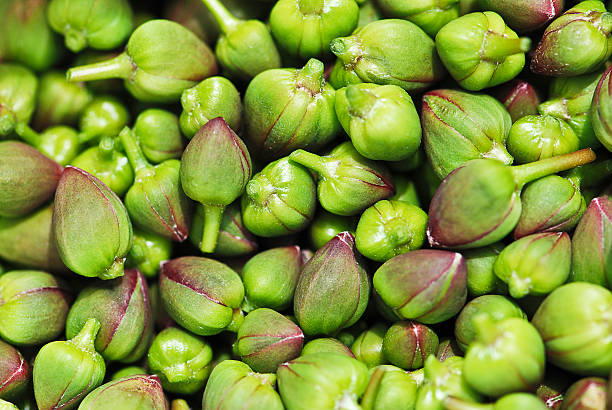 Fresh capers Fresh capers caper stock pictures, royalty-free photos & images