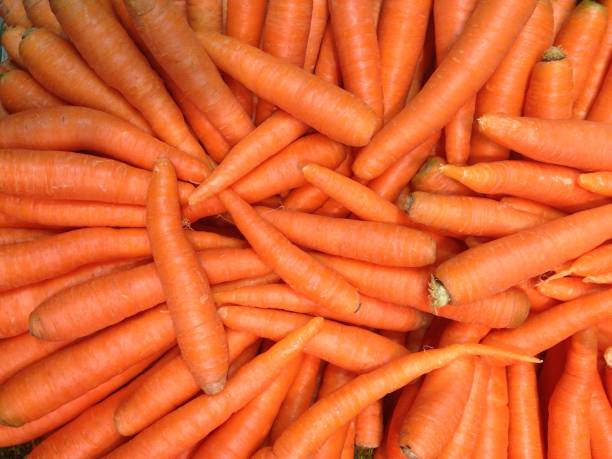 Fresh carrots stock photo